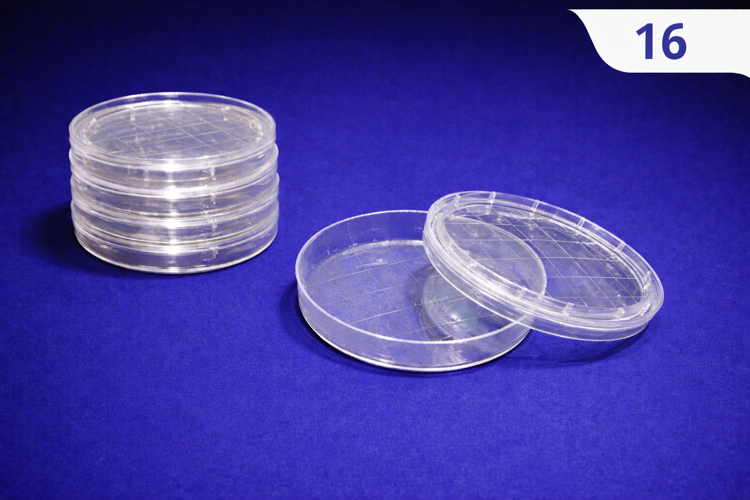 Petri Dish